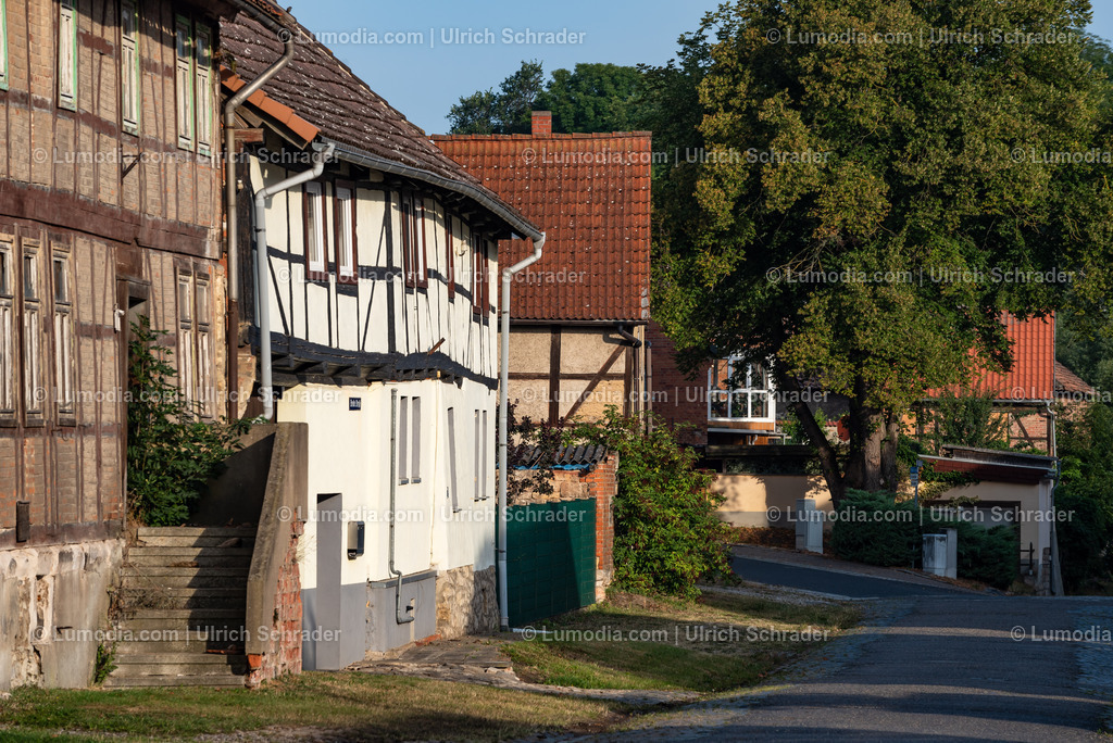 10049-12688 - Aderstedt in der Gemeinde Huy | Stockfoto und Bilderpool mit Bildmaterial aus Deutschland, dem Harz, Halberstadt, Quedlinburg, Wernigerode und weltweit. Qualitativ hochwertige und professionelle Fotos anschauen und kaufen. - Realisiert mit Pictrs.com