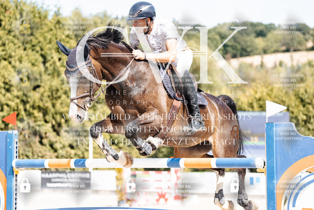CK905191 | Turnierfotografie Pferdefotografie Trier Rheinland-Pfalz Pferdesport Reitsport Tierfotografie Sportfotografie Pferdevideo Pferdevideografie Equestrianvideography equestrianphotography  - Realisiert mit Pictrs.com