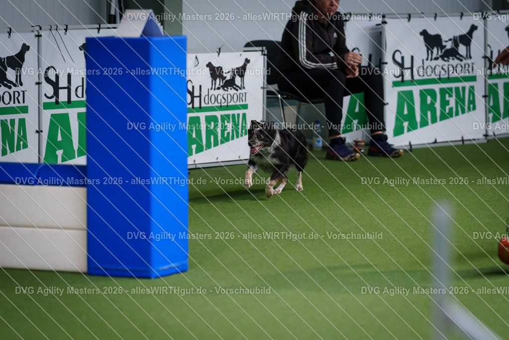 allesWIRTHgut_Tierfotografie-DVG_Agility_Masters_2026-10_36-7R504211 | Professionelle Tierfotografie in Mönchengladbach von Daniel Wirth (allesWIRTHgut). Liebevolle & natürliche Bilder von Hunden & Katzen für unvergessliche Erinnerungen.