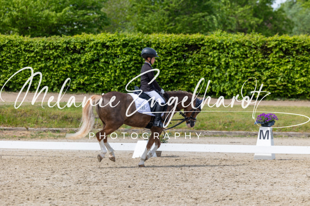 7I8A2660 | melanie-engelhardt-photography - Realisiert mit Pictrs.com