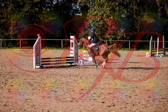 2026_10_03_Siefer-Hof_155743_Z81_77141780 | Professionelle Reitsport-, Turnier- und Eventfotografie von Robert Broda. Galerien mit ausgewählten und bearbeiteten Bildern direkt online ansehen und bestellen.