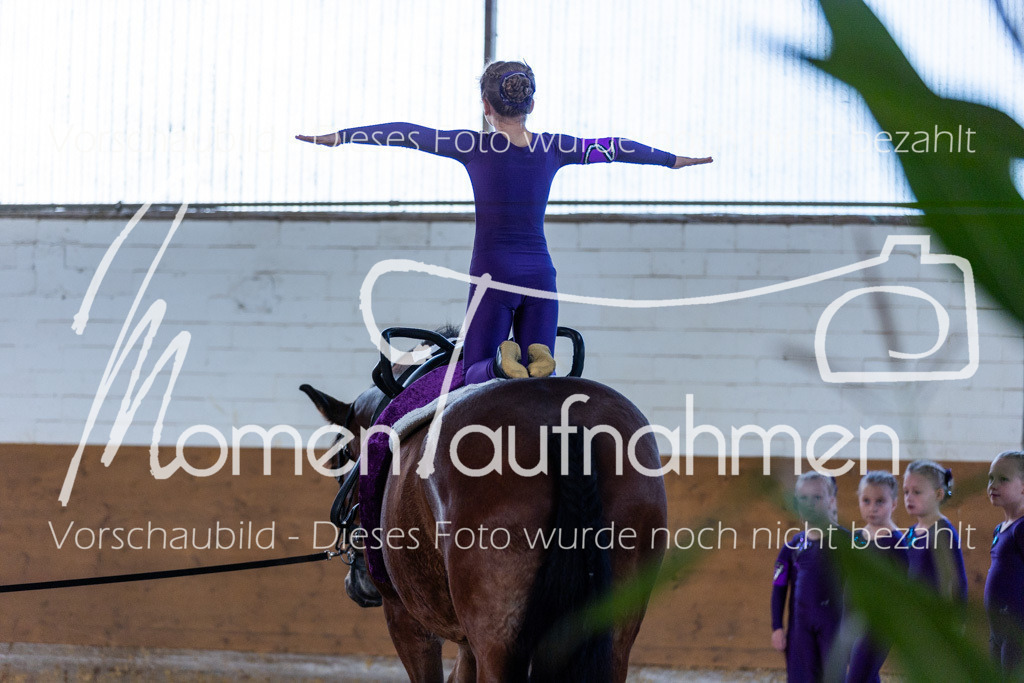 SS-Mini-229 | MomenTaufnahmen Pferdesportfotos