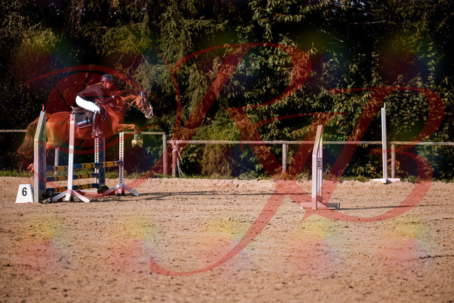 2026_10_03_Siefer-Hof_155823_Z81_78311897 | Professionelle Reitsport-, Turnier- und Eventfotografie von Robert Broda. Galerien mit ausgewählten und bearbeiteten Bildern direkt online ansehen und bestellen.