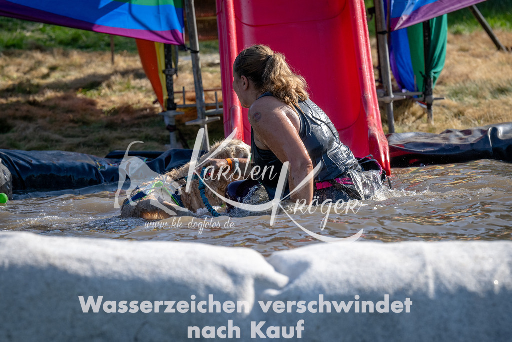 1641_ZZ90803 | kk-dogfotos