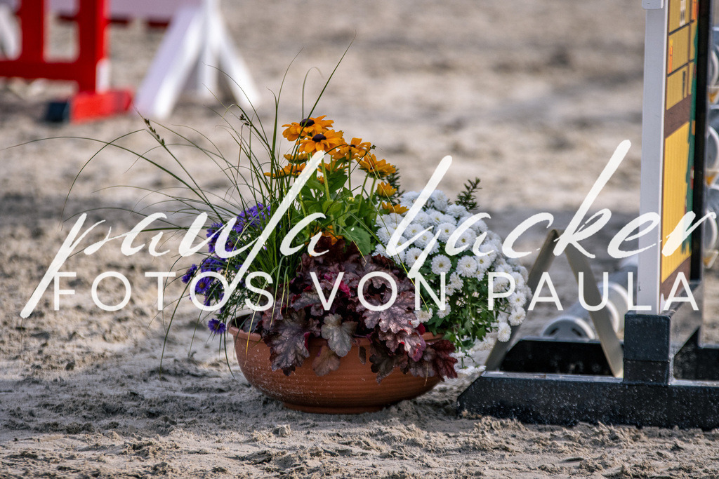 IMG_5579 | Erleben Sie dynamische Sport- und emotionale Tierfotografie in Süddeutschland mit Fotos von Paula. Spezialisiert auf Pferde- und Hundefotografie sowie Sportevents. Kontaktieren Sie mich für einzigartige und ausdrucksstarke Bilder Ihrer besonderen Momente. - Realisiert mit Pictrs.com