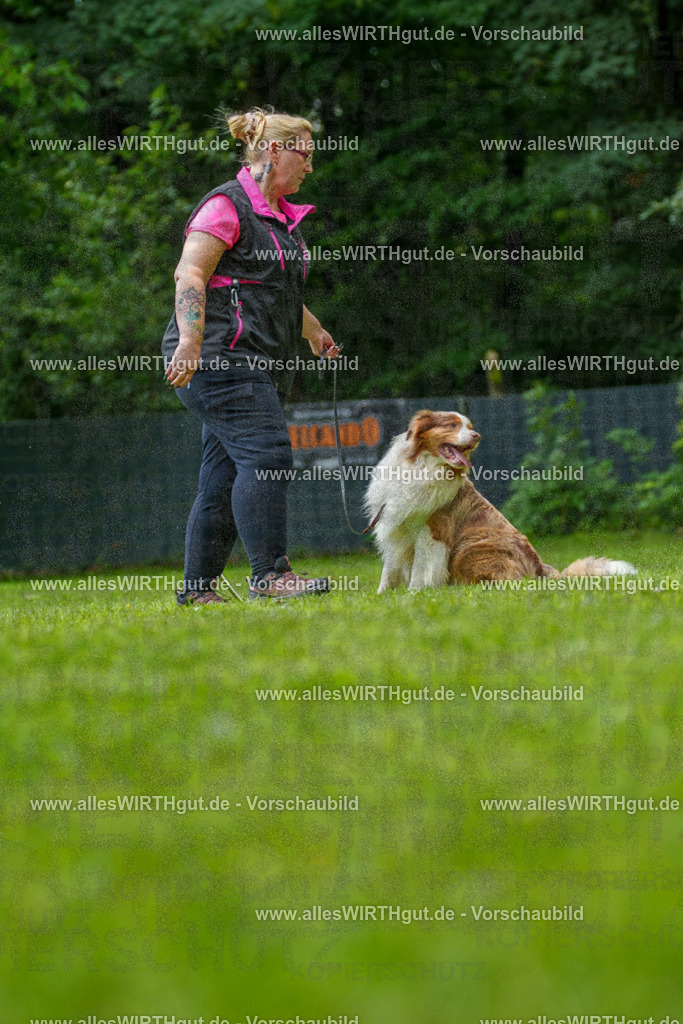 @allesWIRTHgut_Tierfotografie - www.allesWIRTHgut.de - 7R505068 | Professionelle Tierfotografie in Mönchengladbach von Daniel Wirth (allesWIRTHgut). Liebevolle & natürliche Bilder von Hunden & Katzen für unvergessliche Erinnerungen.