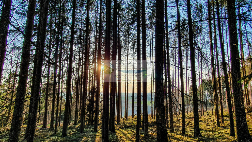 Tiefstehende Sonne Sommer | Impressionen rund um Hochfranken - Frankenwald - Fichtelgebirge - Realisiert mit Pictrs.com