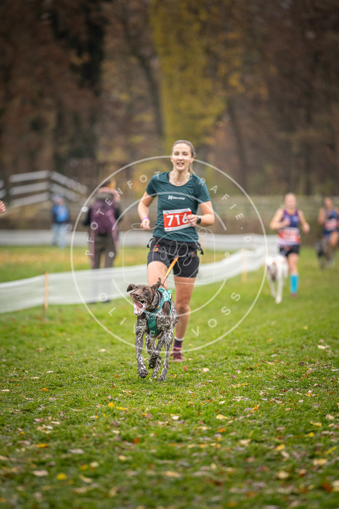 CaniXpix_DV3A9121 | Hundefotografie, Tierfotograf, Pfotenfotografie, Fotoshooting Hund, Hunde Portrait, Hundesport, Hundeportraits, Heideshooting, Hunde, Sportfotograf, Hundefotograf, Turnierhundsport, THS,  - Realisiert mit Pictrs.com