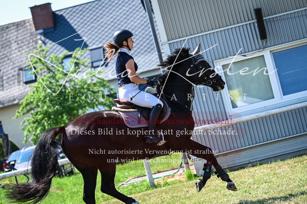 DSC_1035 | Pferde- und Turnierfotografie in Westsachsen. Pferdeportraits, Auftragszeichnungen und intuitive Kunst.