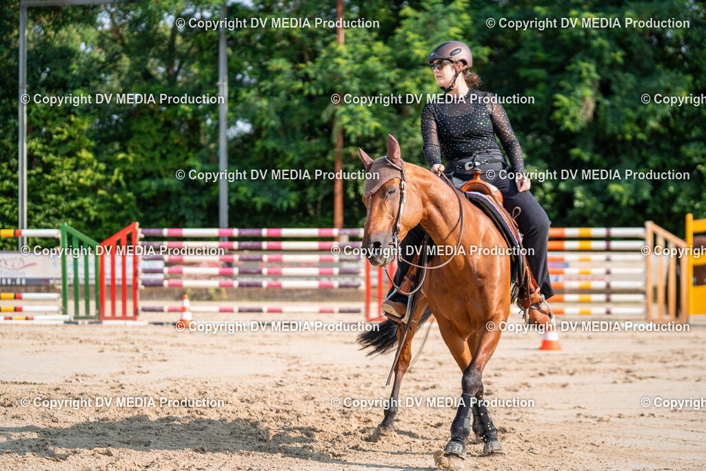 Zeiskam Tag 1-101 | dv-media-shop - Realisiert mit Pictrs.com