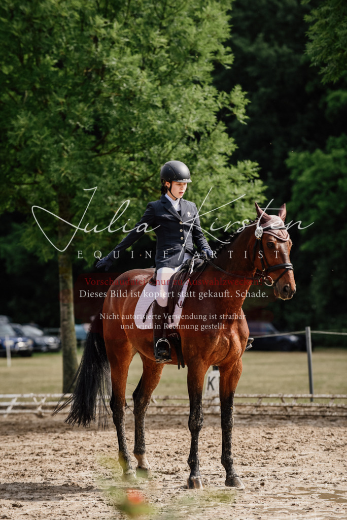 DSC_9641 | Pferde- und Turnierfotografie in Westsachsen. Pferdeportraits, Auftragszeichnungen und intuitive Kunst.