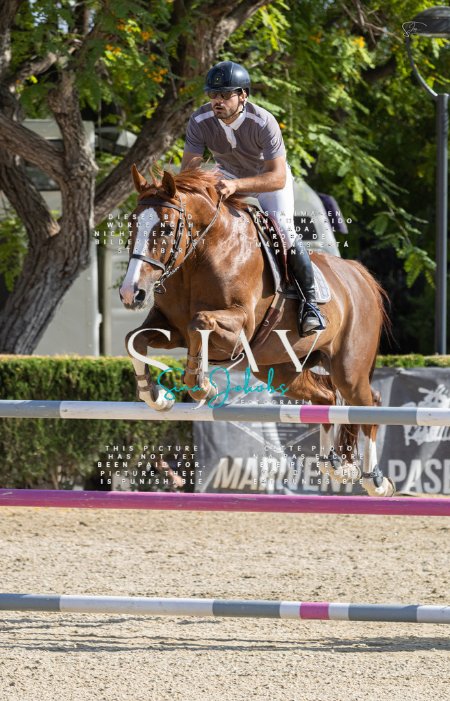 IMG_4325 | s-jay-photography - Realisiert mit Pictrs.com