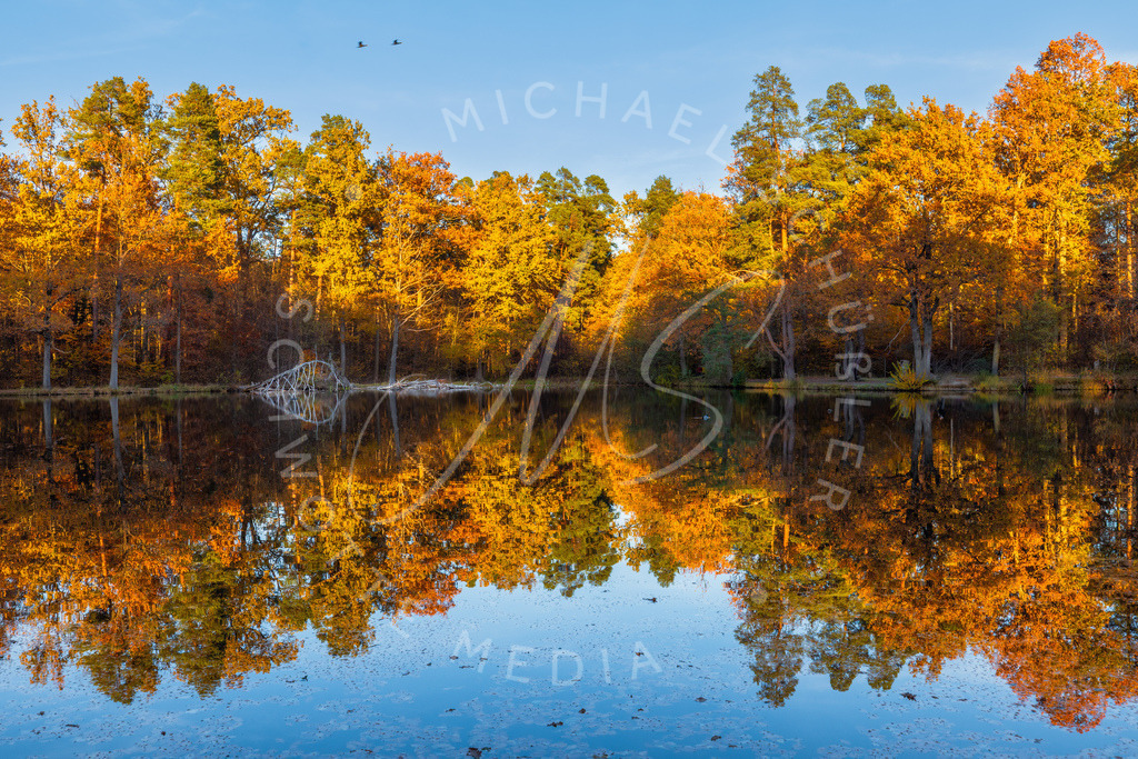 2025-10-30 Herbst Baerenseen Stuttgart 063 | Schwotte Media - Realisiert mit Pictrs.com