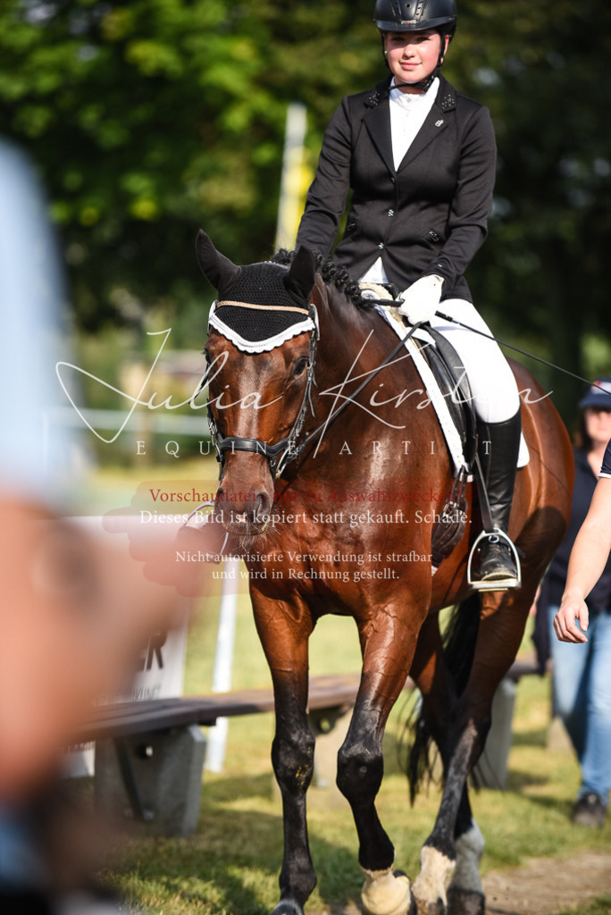 DSC_3359 | Pferde- und Turnierfotografie in Westsachsen. Pferdeportraits, Auftragszeichnungen und intuitive Kunst.