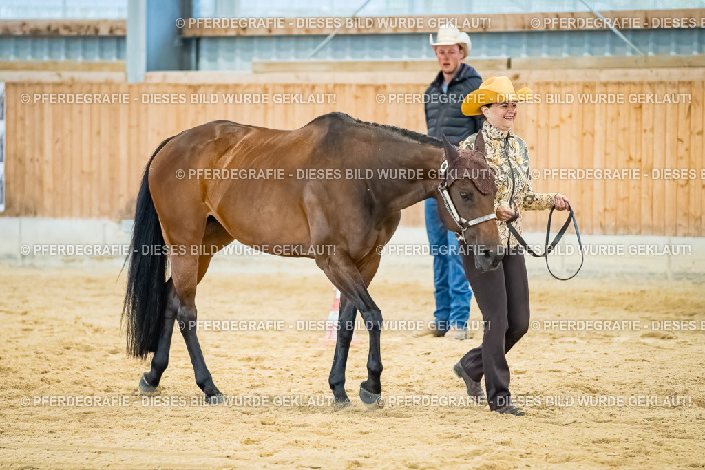 DSC09792 | Pferdegrafie