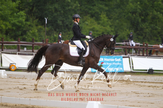 DKP40546 | Turniersportfotografie; Pferdefotografie; Dressurfotografie