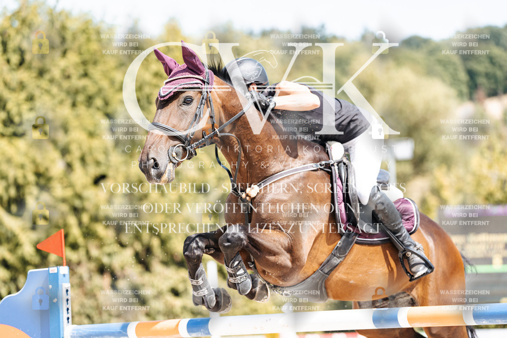 CK904796 | Turnierfotografie Pferdefotografie Trier Rheinland-Pfalz Pferdesport Reitsport Tierfotografie Sportfotografie Pferdevideo Pferdevideografie Equestrianvideography equestrianphotography  - Realisiert mit Pictrs.com