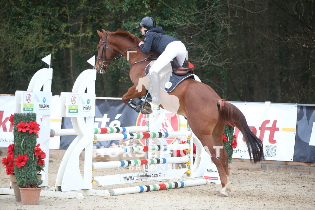 AS8V1697 | Willkommen bei Brunnmayr - Design & Fotografie – Ihrem Spezialisten für Reitturniere und Pferdeveranstaltungen in Oberösterreich, Salzburg und Bayern! Seit über 17 Jahren sind wir leidenschaftlich dabei.