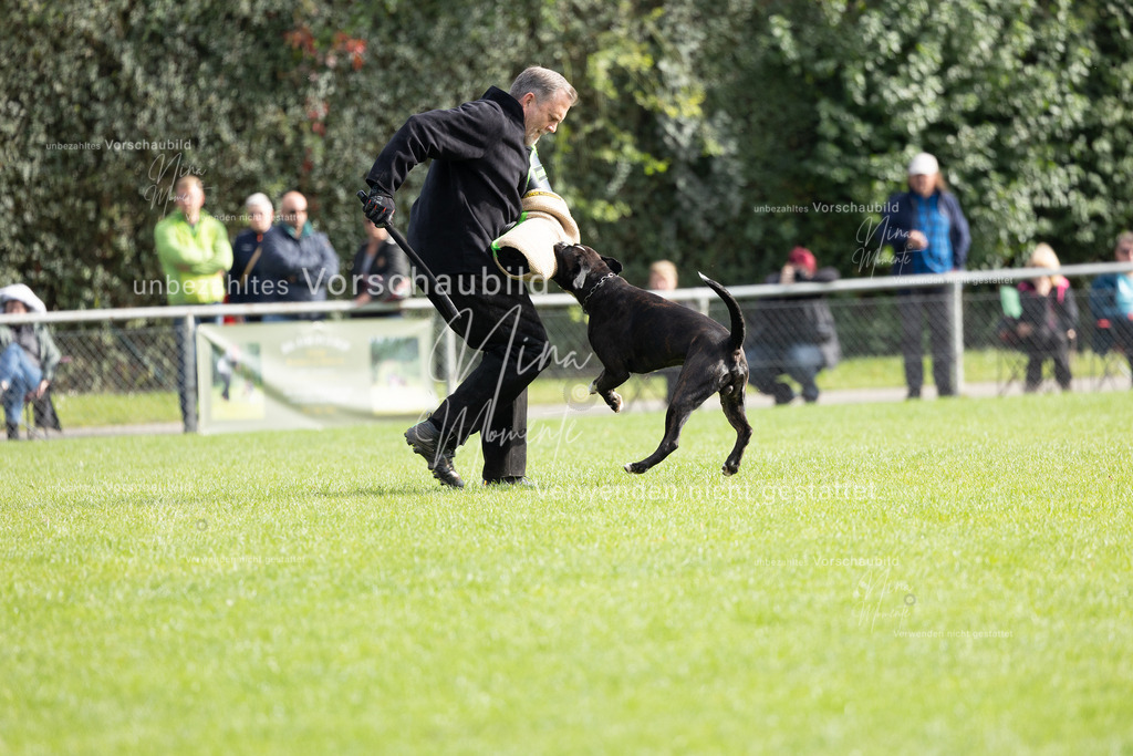 _16A5449 | Einzigartige Fotos von Hunden & Menschen –Actionfotos, Portraits, Vereinsaufnahmen & Paarshootings – authentisch, lebendig & mit Herz.