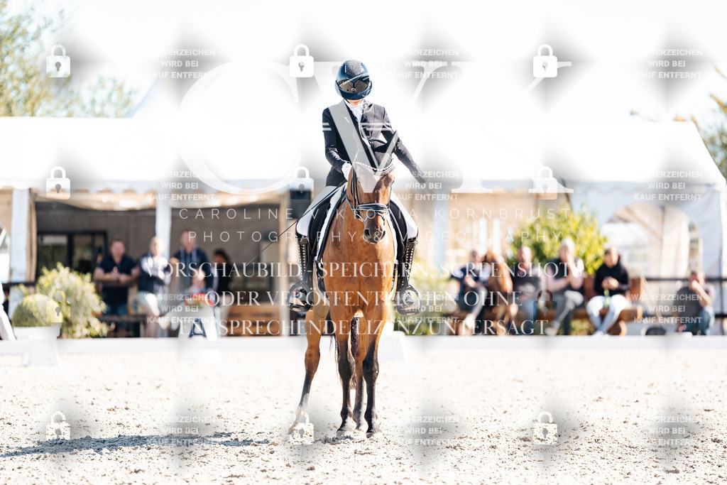 CK909216 | Turnierfotografie Pferdefotografie Trier Rheinland-Pfalz Pferdesport Reitsport Tierfotografie Sportfotografie Pferdevideo Pferdevideografie Equestrianvideography equestrianphotography  - Realisiert mit Pictrs.com