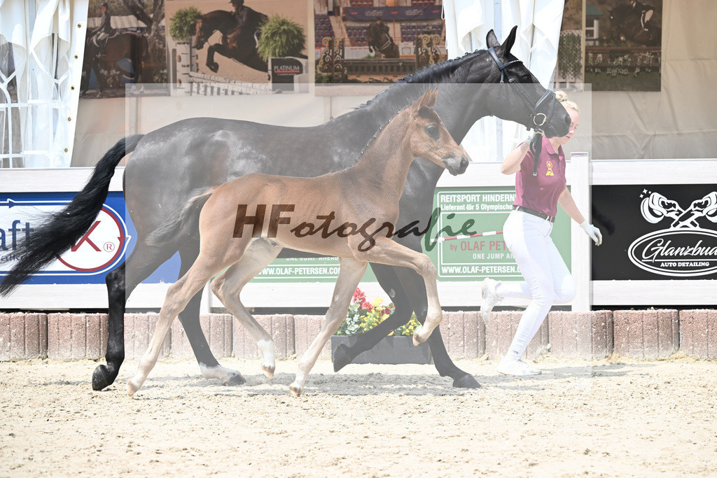 Vitalos x Lord Leopold_SF_Strohmeier_12250895 | hf-fotografie - Realisiert mit Pictrs.com