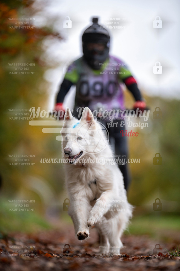 DBT_DAKM_SA_4_11_2023_Bike-68 | PayLife