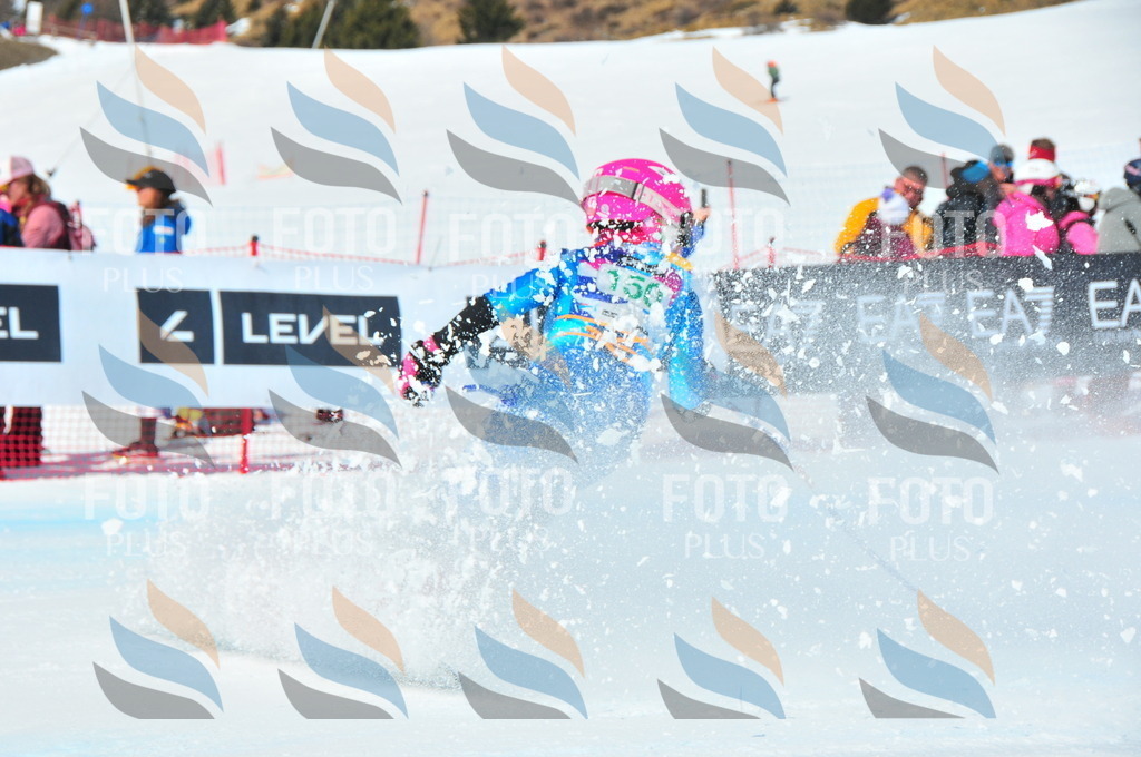 DSC_1310 | holidayphoto