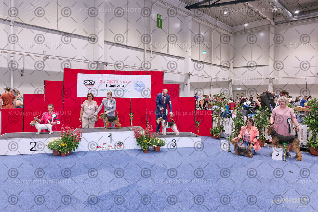 202406_ÖKV-IHA-Tulln24_NZ9_8670 | proPHOTO - Realisiert mit Pictrs.com