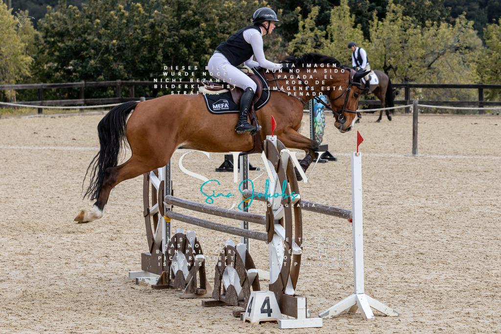 IMG_3980 | s-jay-photography - Realized with Pictrs.com