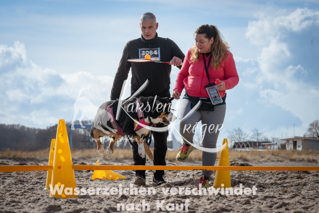 1316_ZZ91090 | kk-dogfotos