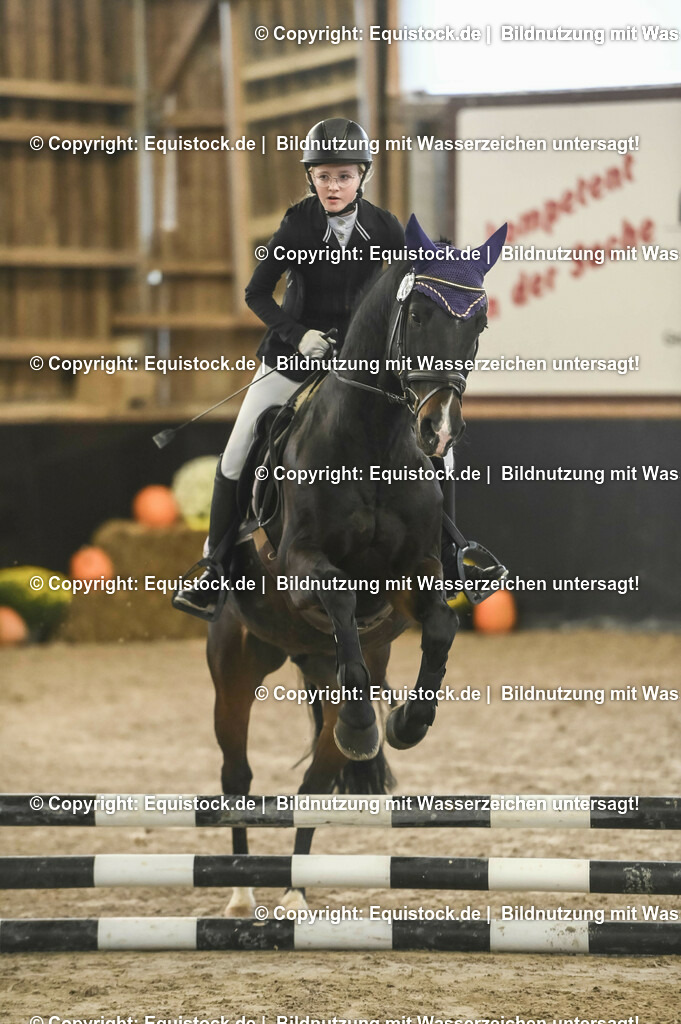 20231029_07_Stilspring-WB-50cm_0057 | Foto: Thomas Hartig