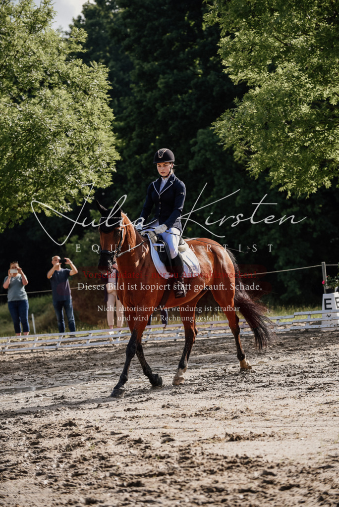 DSC_8477 | Pferde- und Turnierfotografie in Westsachsen. Pferdeportraits, Auftragszeichnungen und intuitive Kunst.