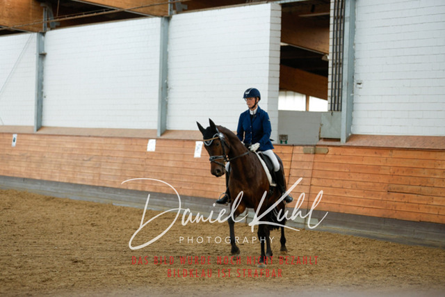 _62_6825 | Turniersportfotografie; Pferdefotografie; Dressurfotografie