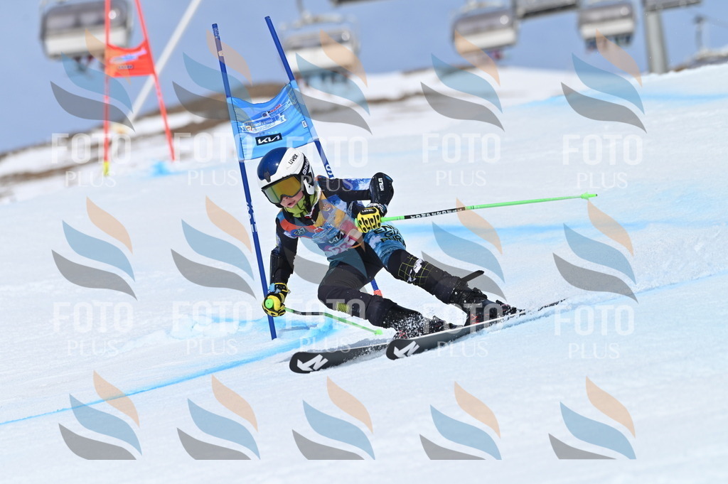 BGV_1526 | holidayphoto