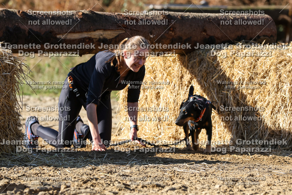 Dog Paparazzi - Strongdog 10-25-2853 | Dog Paparazzi Jeanette Grottendiek Fotografie & Videografie - Realisiert mit Pictrs.com
