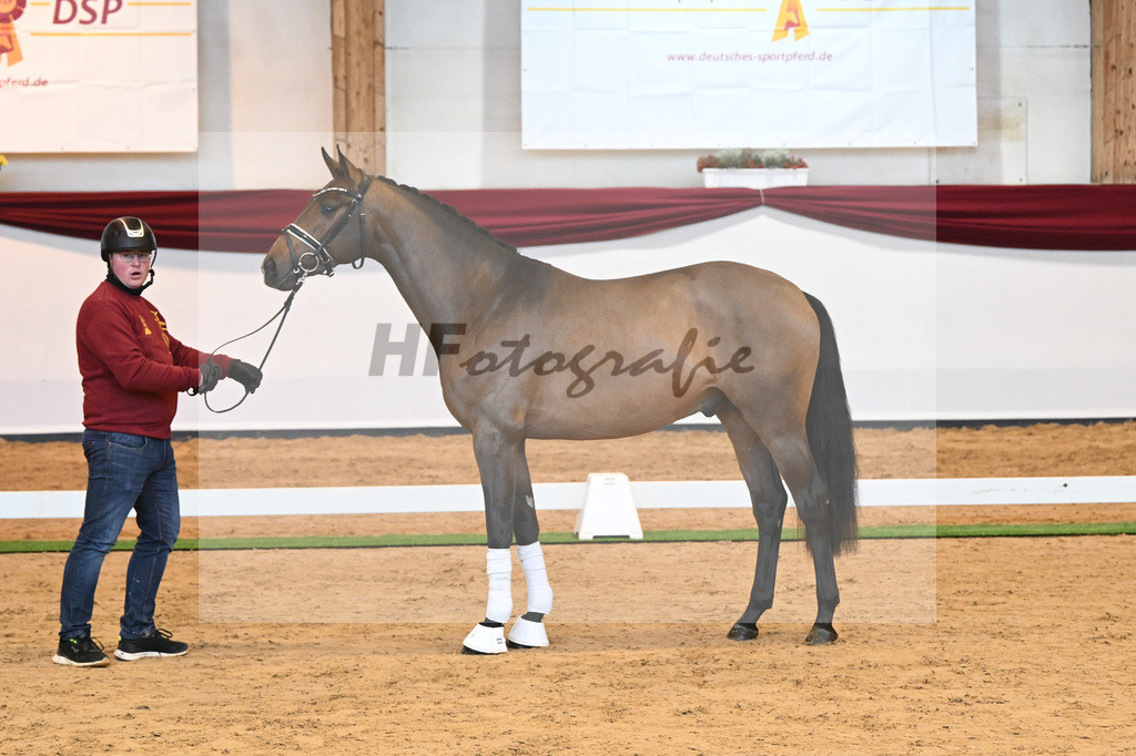 Kat-Nr. 11 v. Borsalino_Koegler u Schuhmacher_66220114 | hf-fotografie - Realisiert mit Pictrs.com