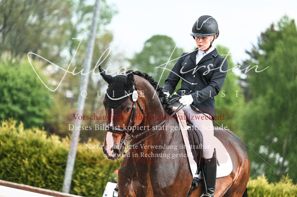 DSC_4155 | Pferde- und Turnierfotografie in Westsachsen. Pferdeportraits, Auftragszeichnungen und intuitive Kunst.