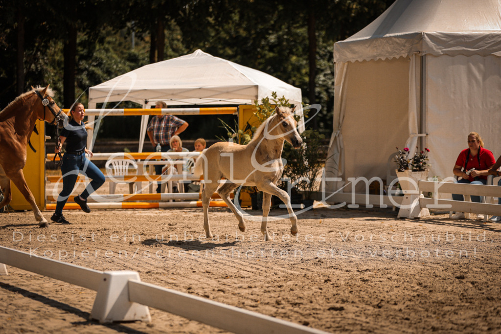 06.DoH00089 | Leoni Ertmer Photography - Realisiert mit Pictrs.com