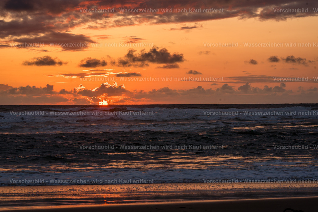 DSC02061 | marcuslinek