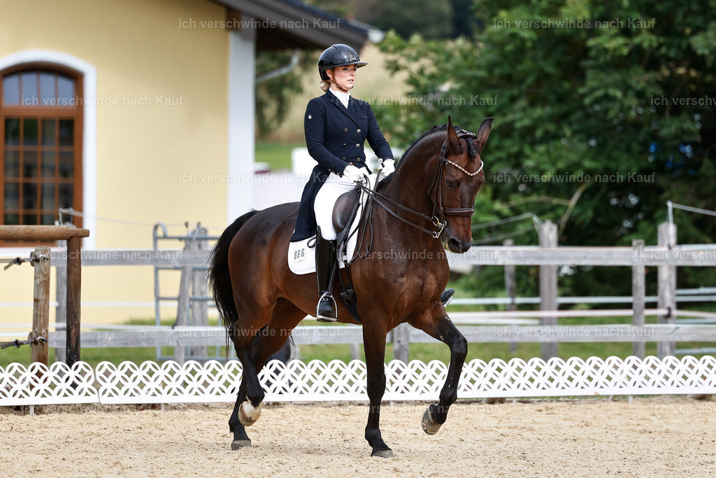 11-066-Dressur S___-StoibPH-1255 | working equitationturnier fotograf videograf stoibphotography marixx film working equitation deutschland reitsport turnierfotografie eventfotografie equestrian events