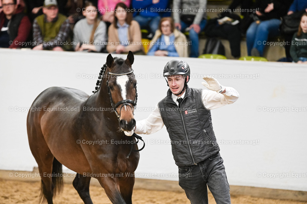 20260307_Hengstvorstellung-Marbach_0086 | equistock