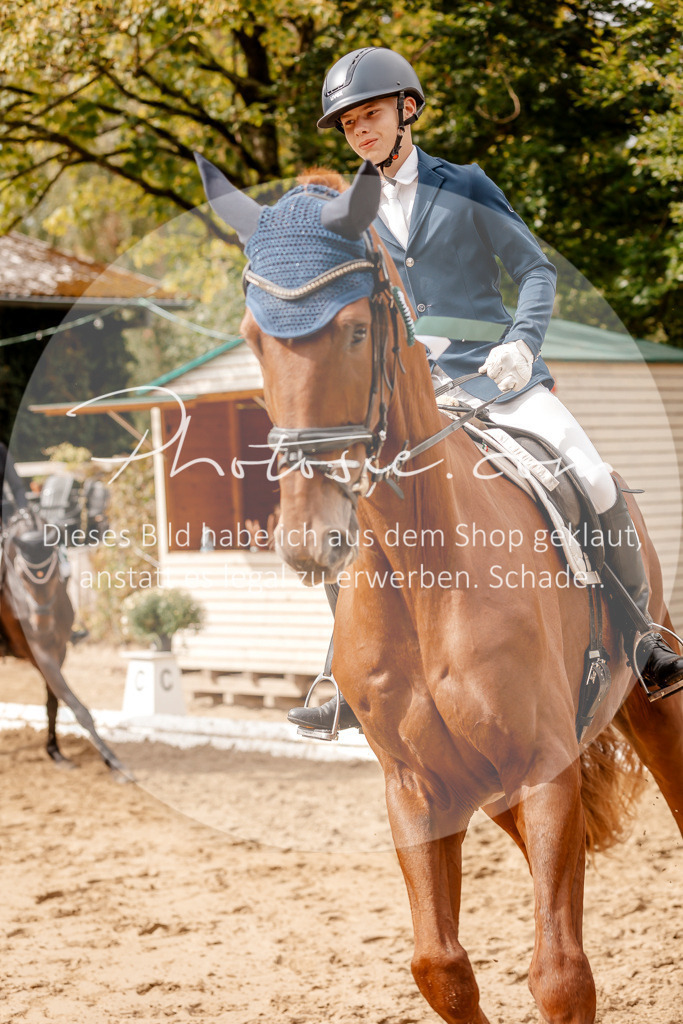 3I6A7649 | Stimmungsvolle Portraits und Reitsportfotografie im Ruhrgebiet und im Münsterland.

Pferdefotografie, Hundefotografie, Tierfotografie, Reportagen, Portraits von Tier und Mensch, Turnierfotografie in Bochum, Recklinghausen, Marl, Haltern am See, Dülmen.. - Realisiert mit Pictrs.com