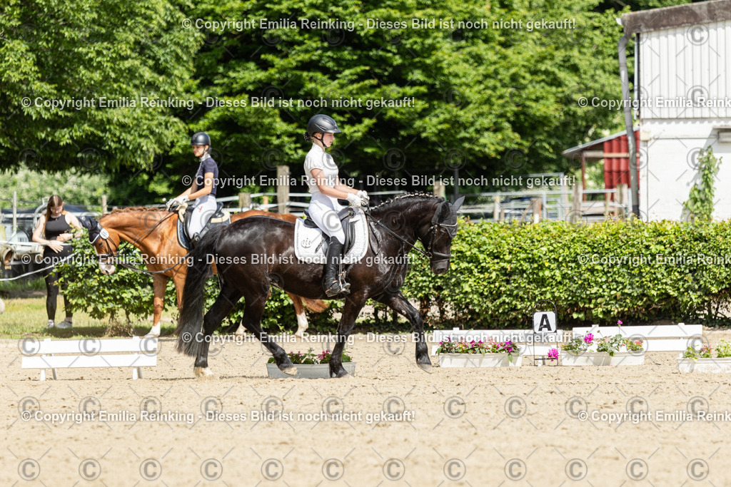 CL5A0722 | Emilia Reinking Fotografie - Realisiert mit Pictrs.com