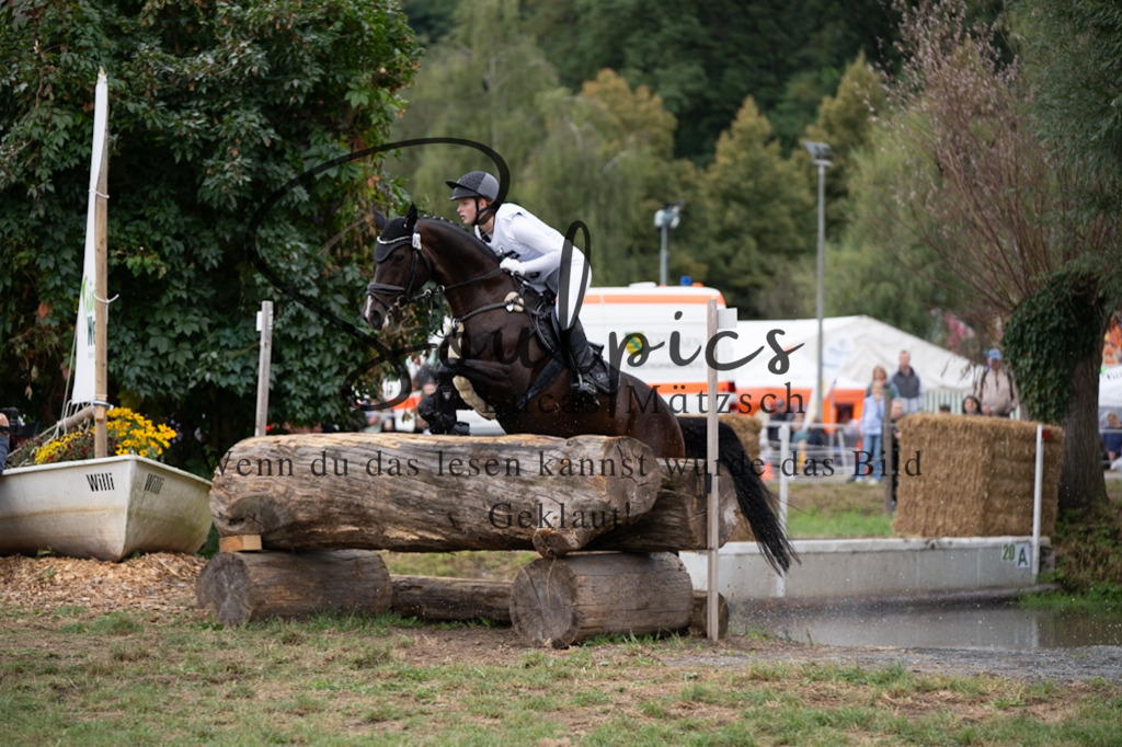 A7V00628 | Pferdefotograf