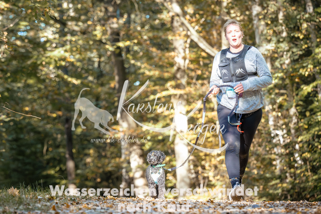 1136_ZZ92812 | kk-dogfotos