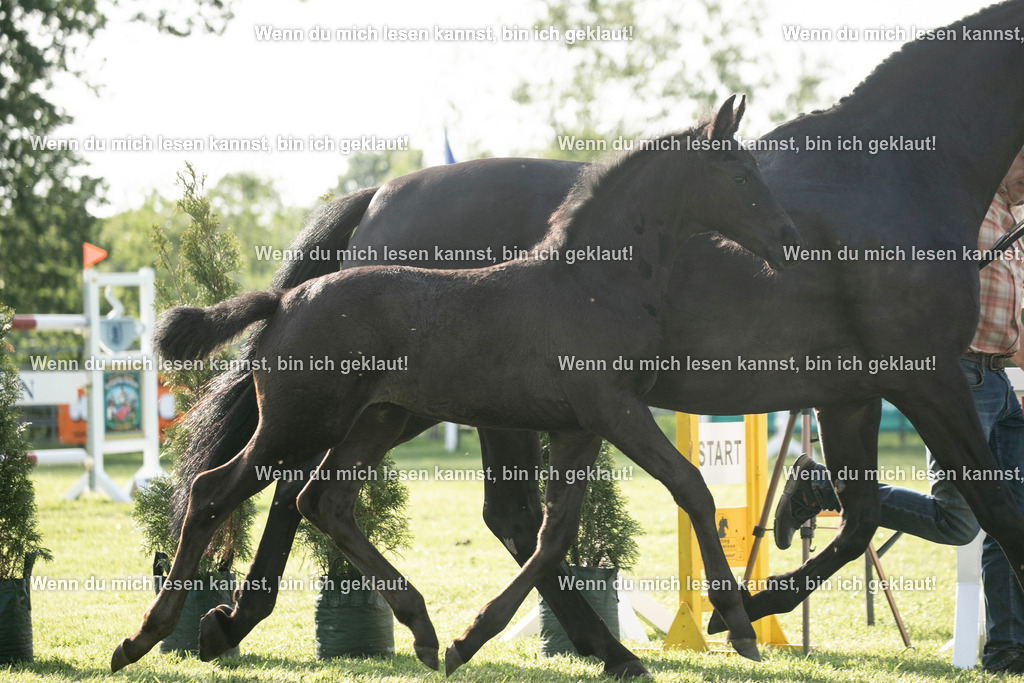 598A7244 | photographylinaismer - Realisiert mit Pictrs.com