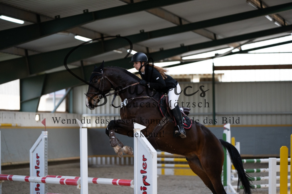 A7V02620 | Pferdefotograf