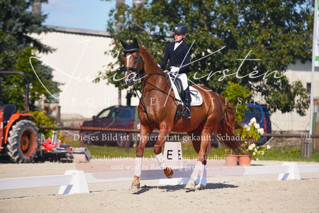 DSC_0092 | Pferde- und Turnierfotografie in Westsachsen. Pferdeportraits, Auftragszeichnungen und intuitive Kunst.