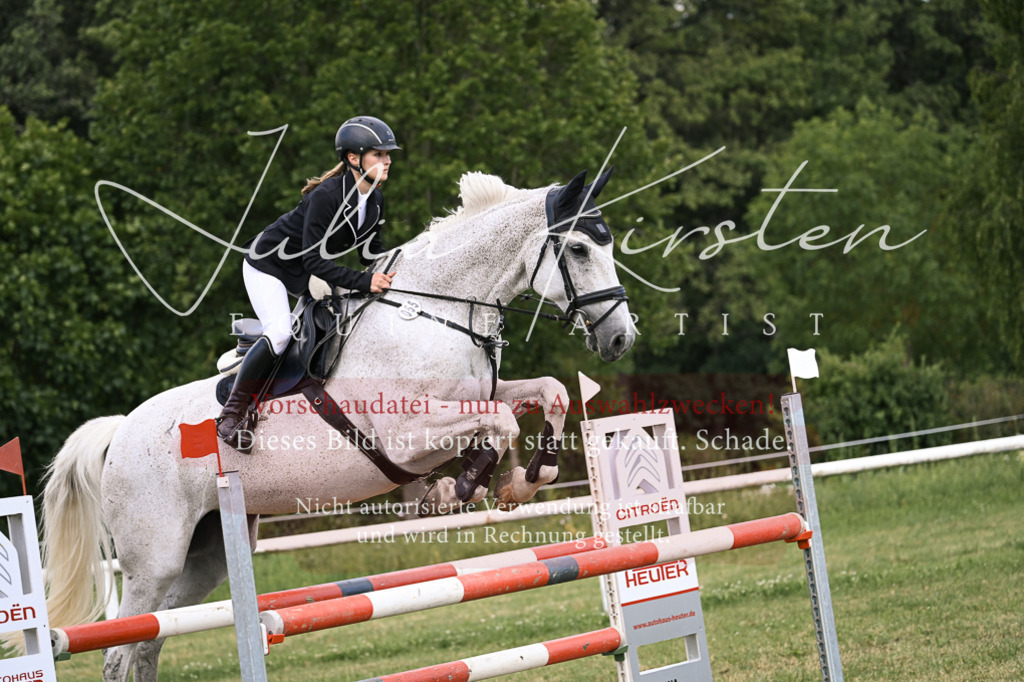 DSC_0973 | Pferde- und Turnierfotografie in Westsachsen. Pferdeportraits, Auftragszeichnungen und intuitive Kunst.