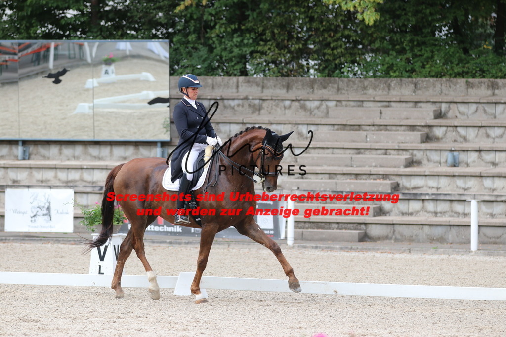 IMG_6580 | lmwpictures - Realisiert mit Pictrs.com